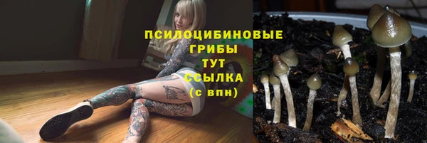кокаин VHQ Каменногорск