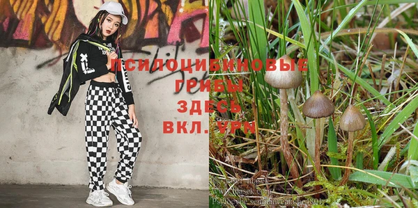 эйфоретик Каменск-Шахтинский
