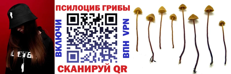 Купить где  Солигалич  Псилоцибиновые грибы MAGIC MUSHROOMS 